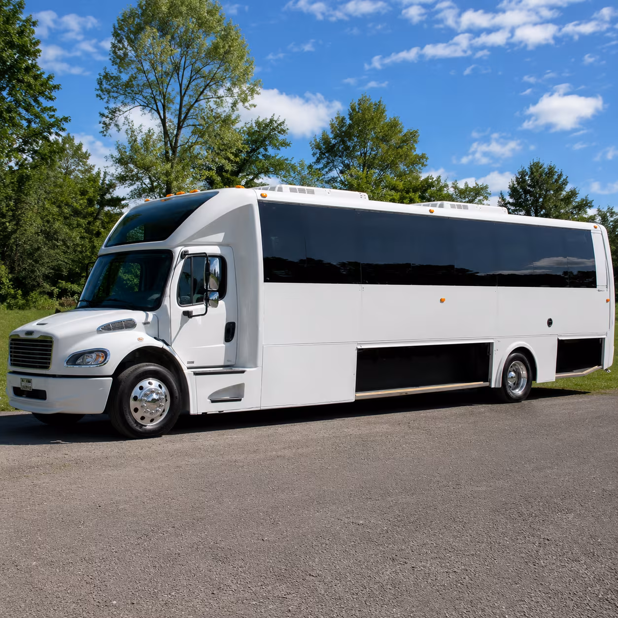 Group beside a Mercedes Sprinter limo in Irvine